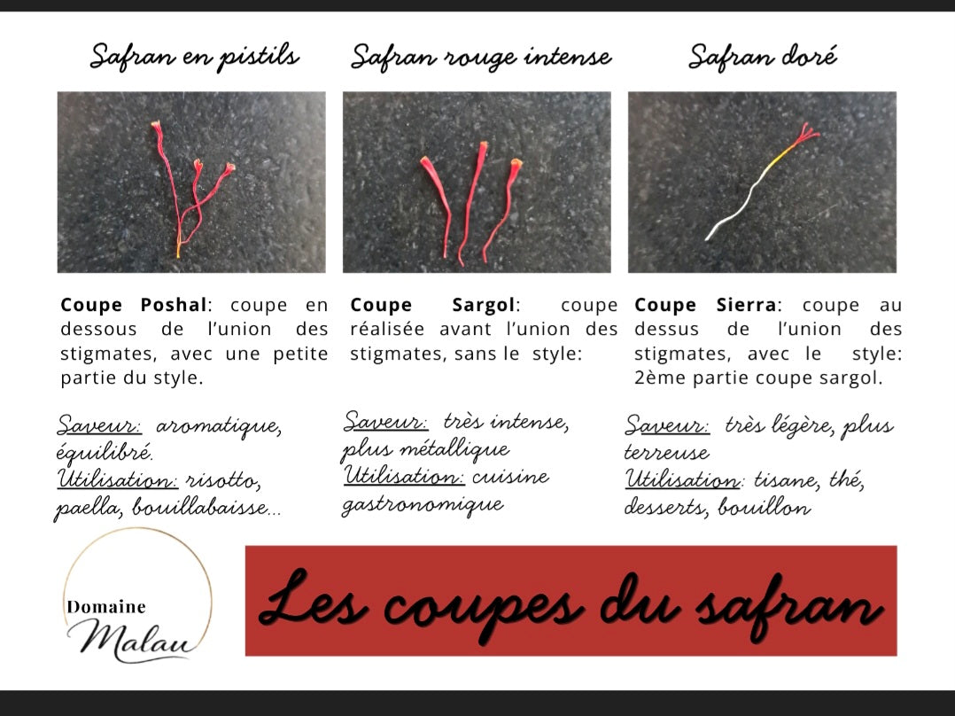 Les safrans du Domaine Malau : trois coupes, trois façons de les savourer