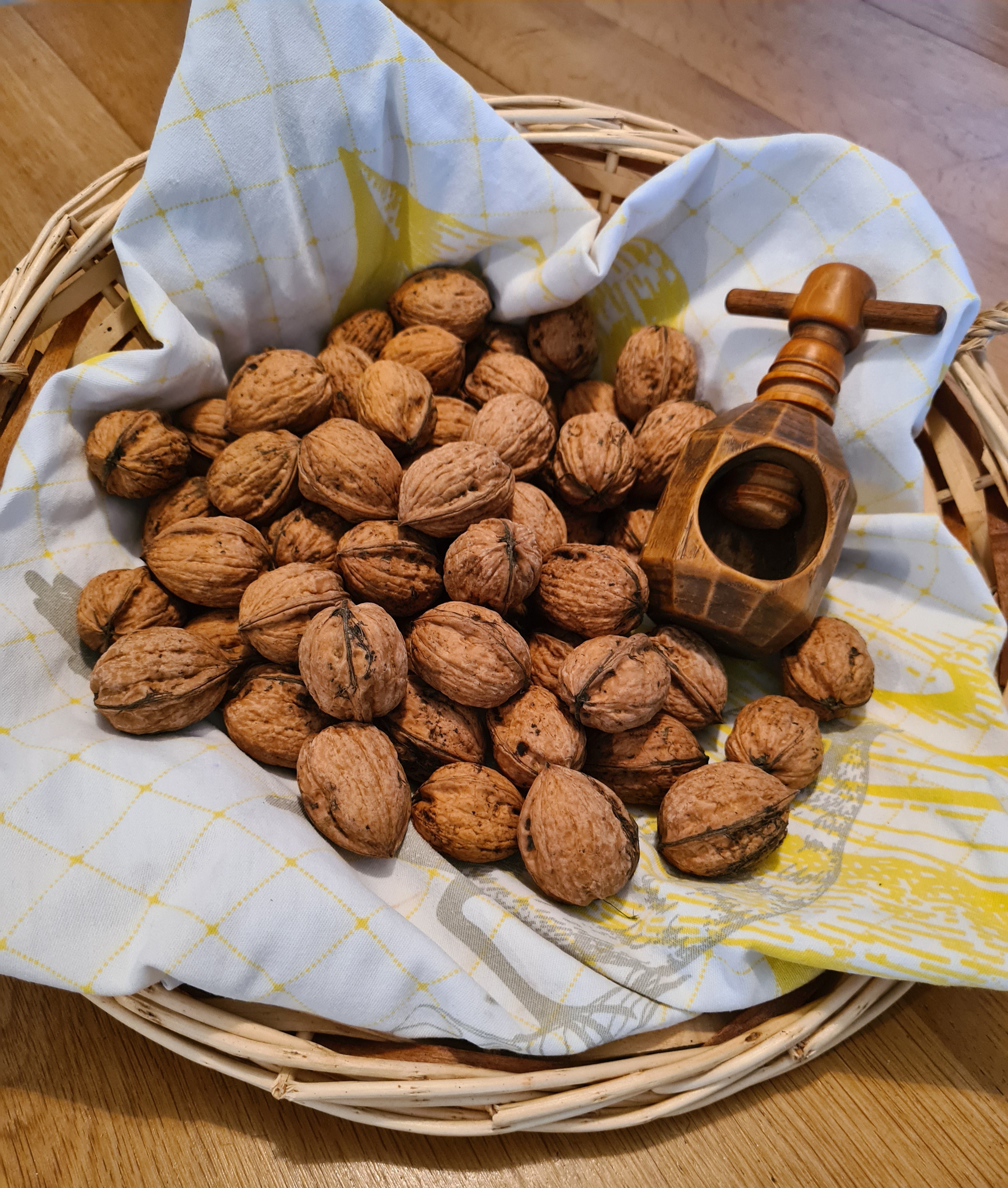 Les noix du Poitou-Charentes : un trésor local au Domaine Malau