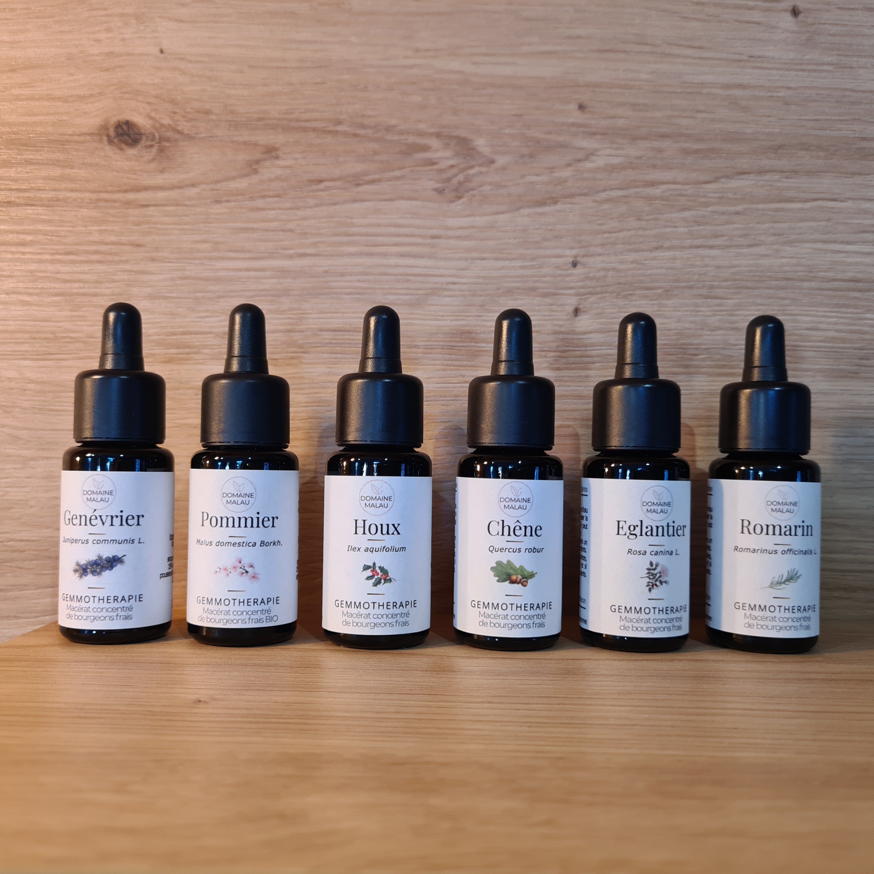 Macérâts concentrés de bourgeons, GEMMOTHERAPIE