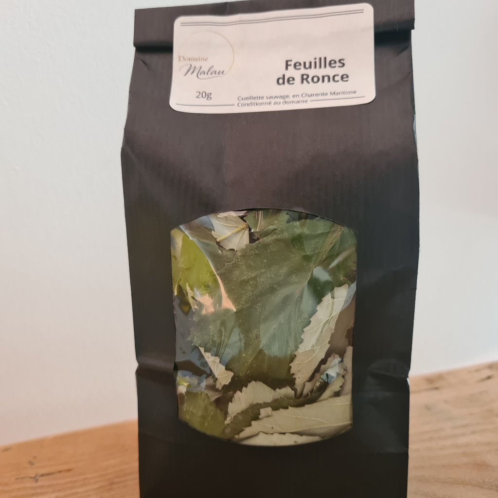 Feuilles de Ronce sèches