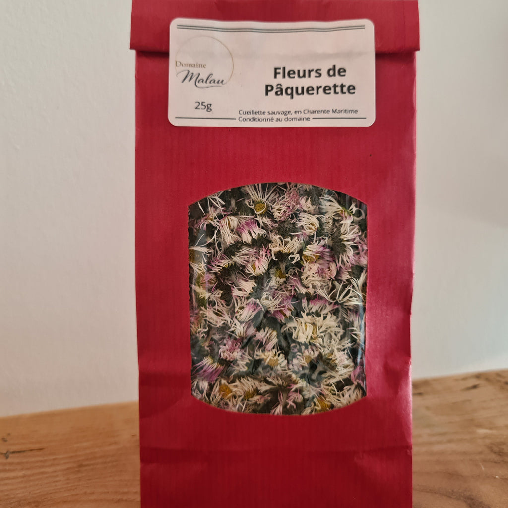 Fleurs de Pâquerettes bio