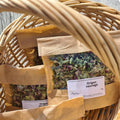 Origan sauvage bio, vulgaire
