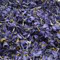 Fleurs de safran sèches
