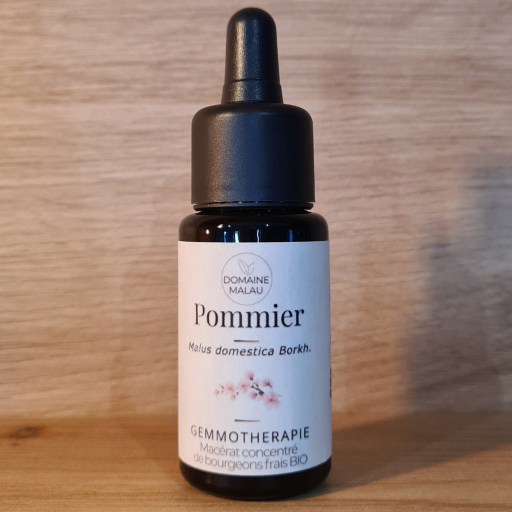 Macérât de bourgeons de pommier BIO