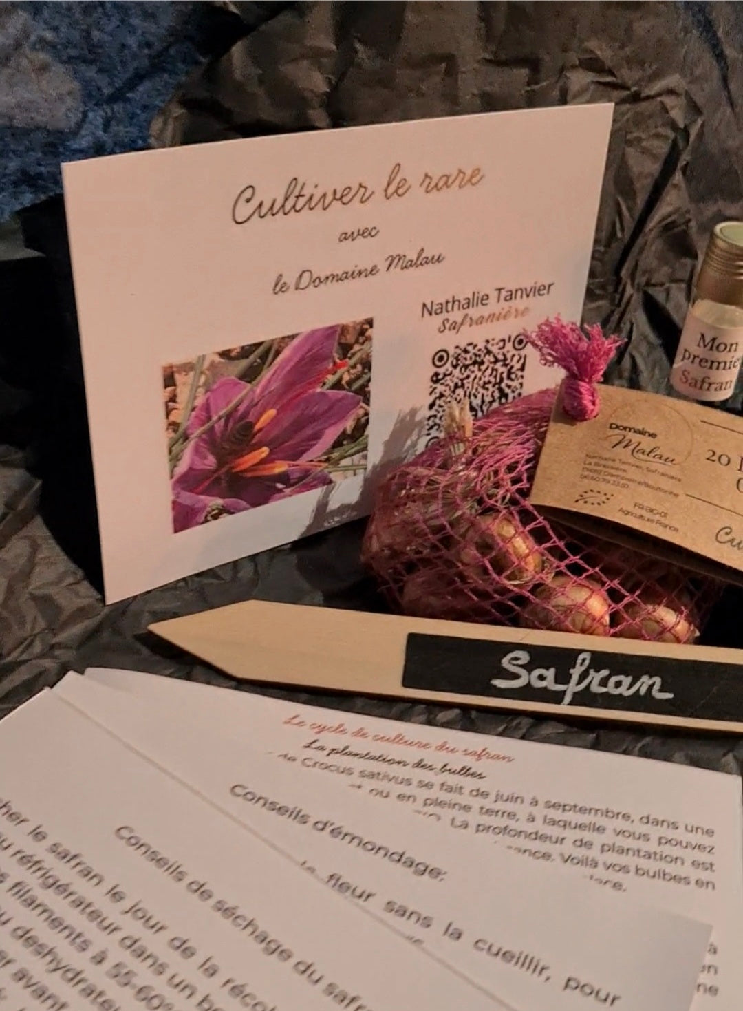 Kit potées 20 bulbes crocus sativus