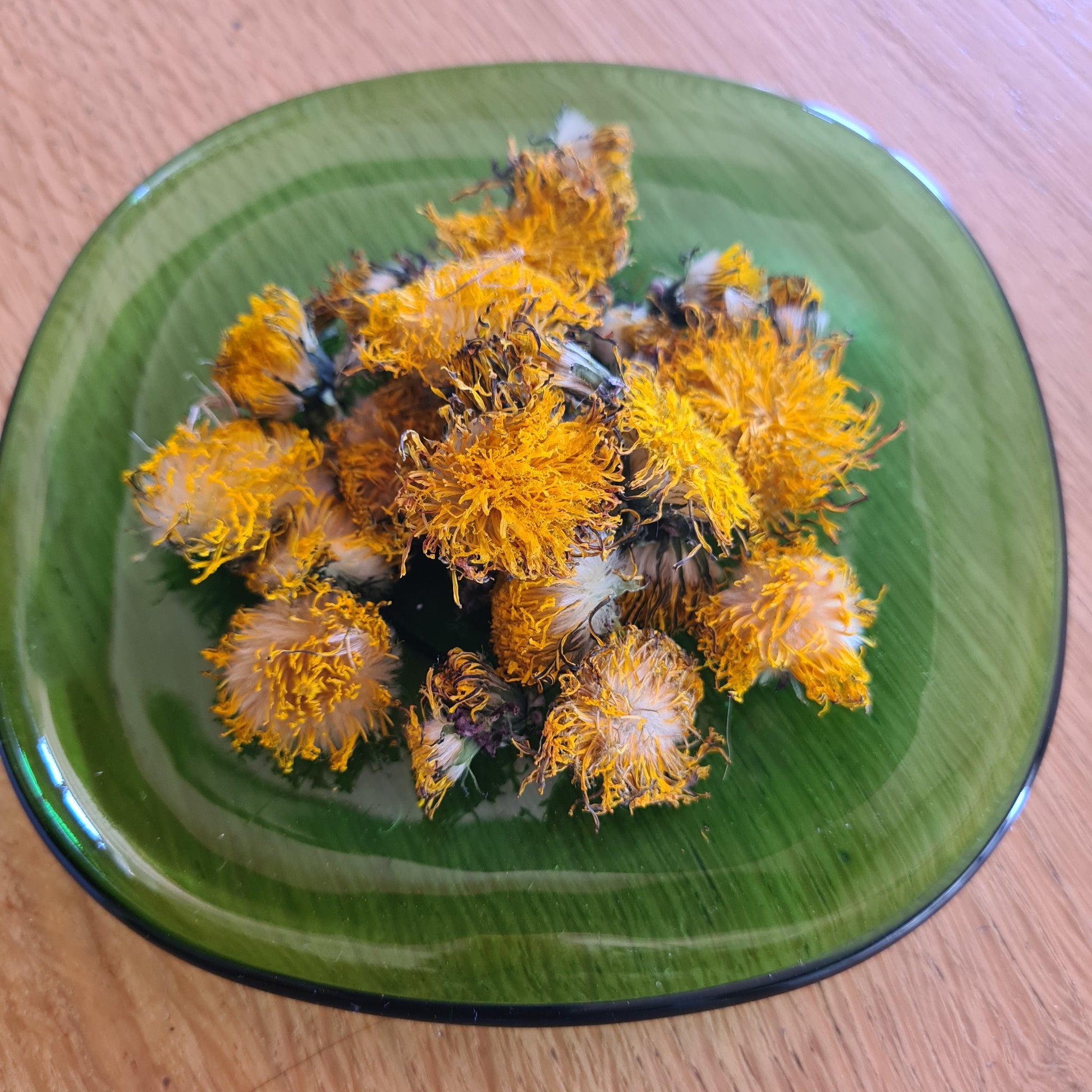 Fleurs de Pissenlit bio