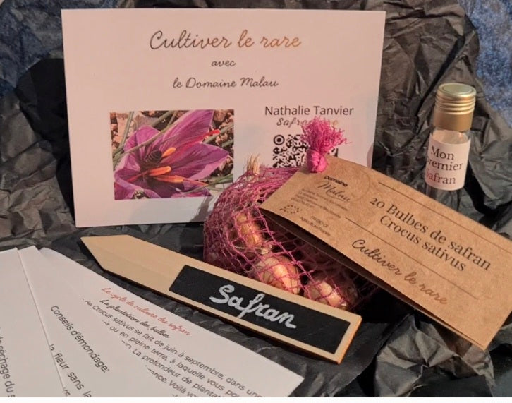 Kit potées 20 bulbes crocus sativus